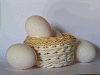 小籠の中の卵２