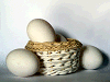 小籠の中の卵３