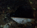 鹿教湯温泉：元大湯の旧源泉。洞窟の中井